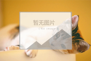 上海宠物托运需要犬证吗